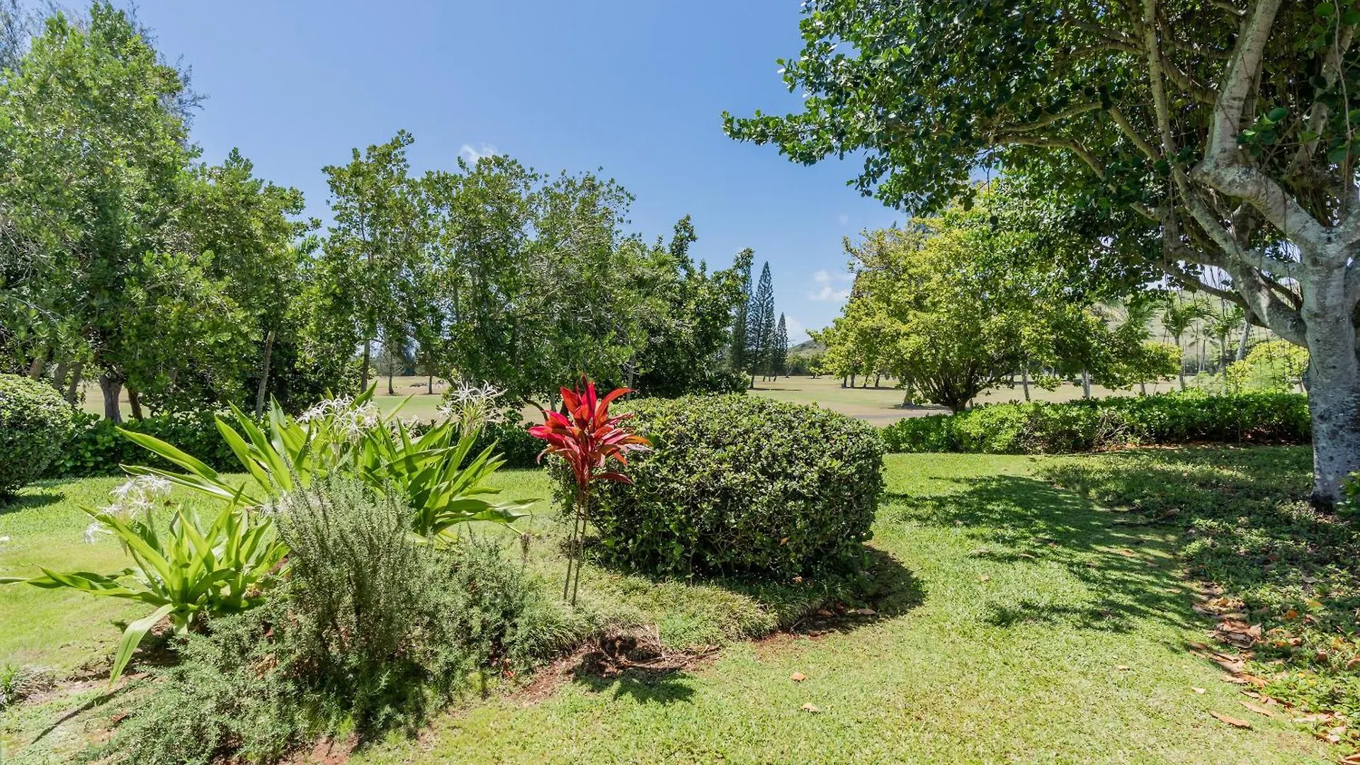 Apartment Plumeria Tree Hale - Golf Course View - Sleeps 4 Kahuku United States